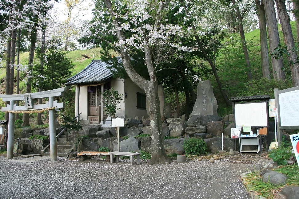 興国寺城跡【根古屋307の1】　の画像