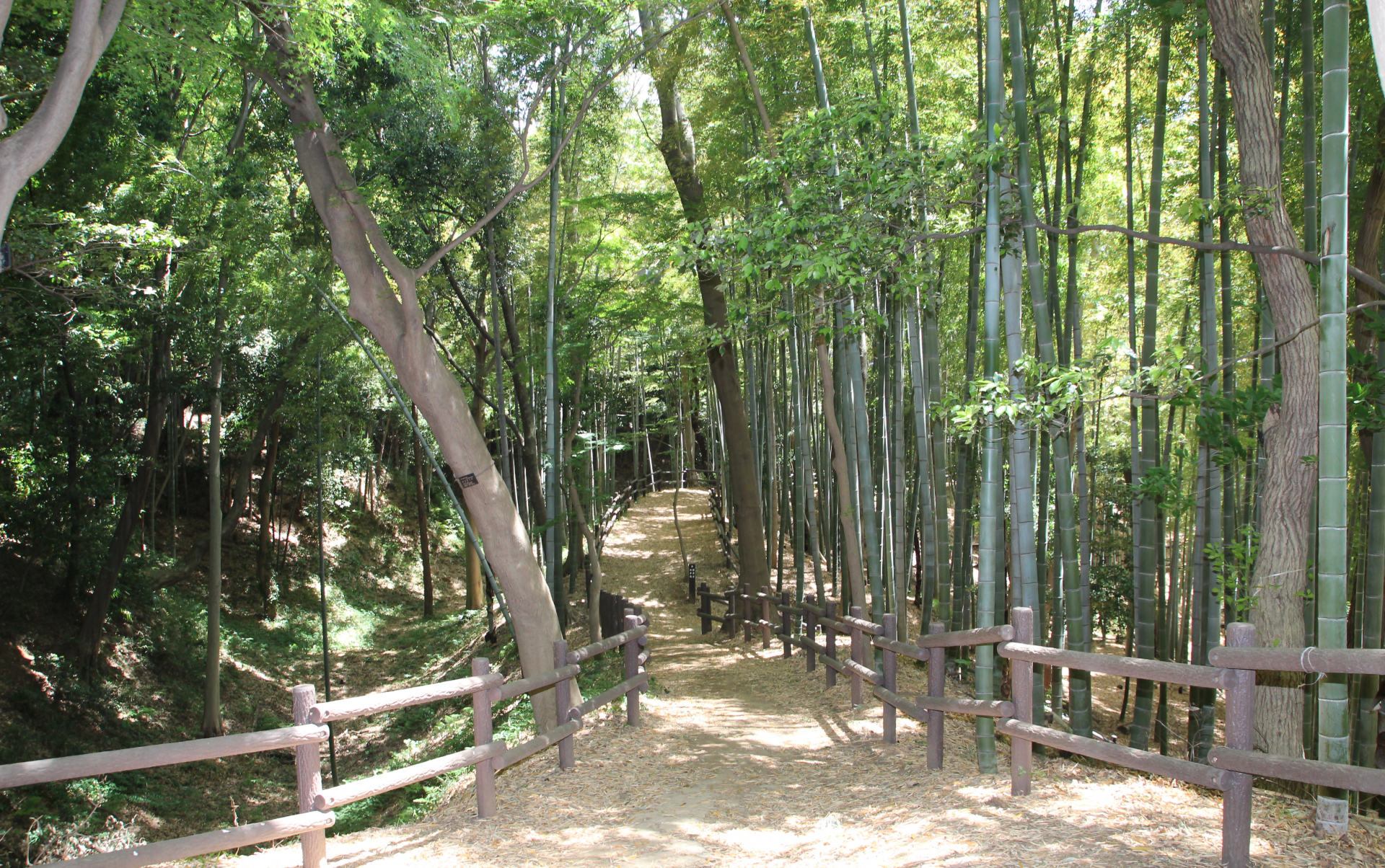 小机城址市民の森【港北区小机町817】　の画像