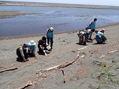 酒匂川河口のプラスチックごみの状況を調べている画像