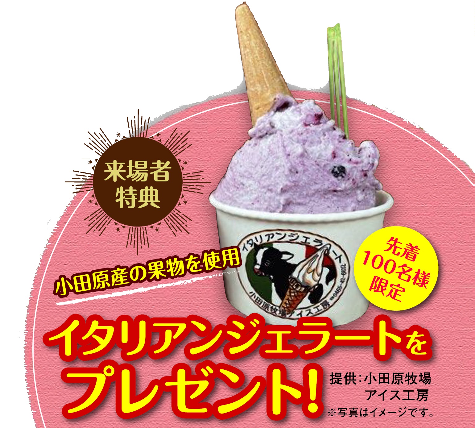 ジェラート写真