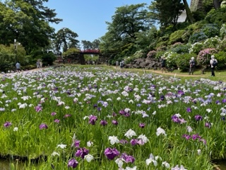 植替え