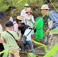 夏休み子ども環境教室8月1日開催の様子②　区域内にある小さな沢で沢蟹や動物の食べた木の実を発見し生態系について解説しているシーン