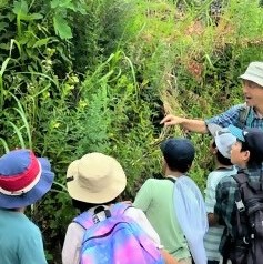 夏休み子ども環境教室8月1日開催の様子③　和留沢地域の歴史を景観を眺めながらたり植物などを観察しているシーン