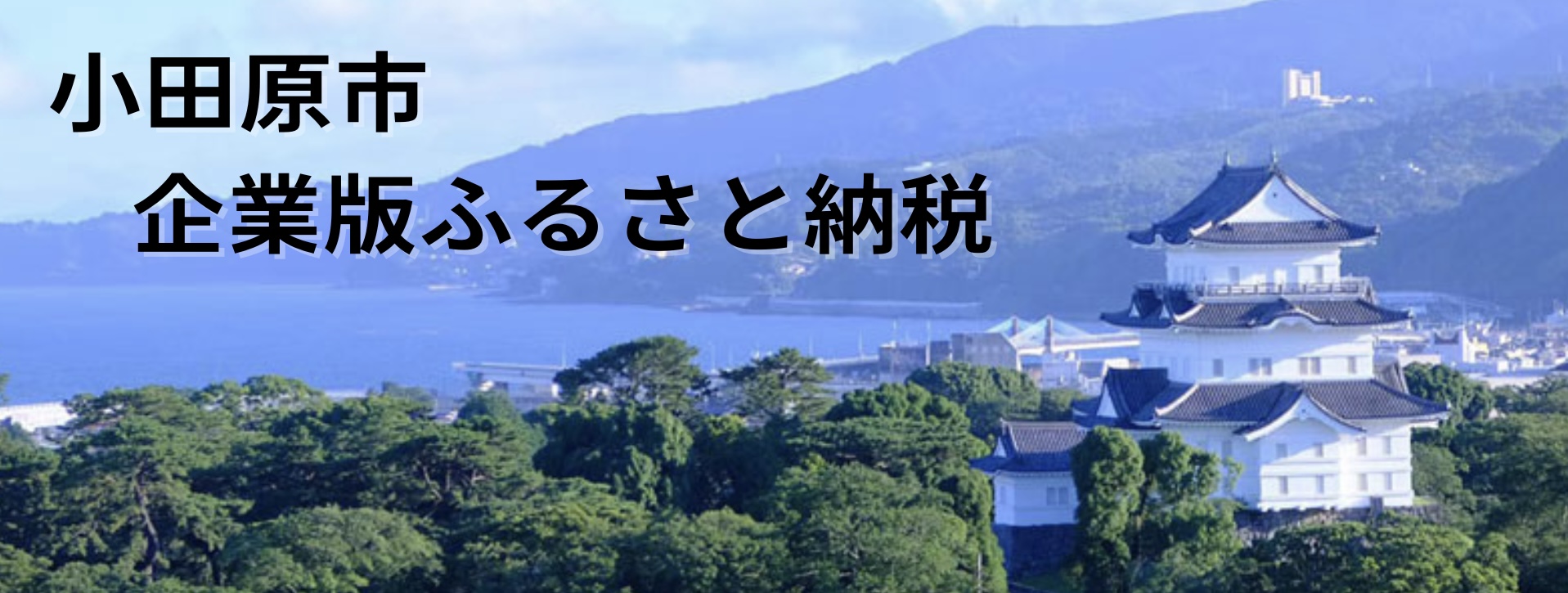 小田原市企業版ふるさと納税のバナー画像