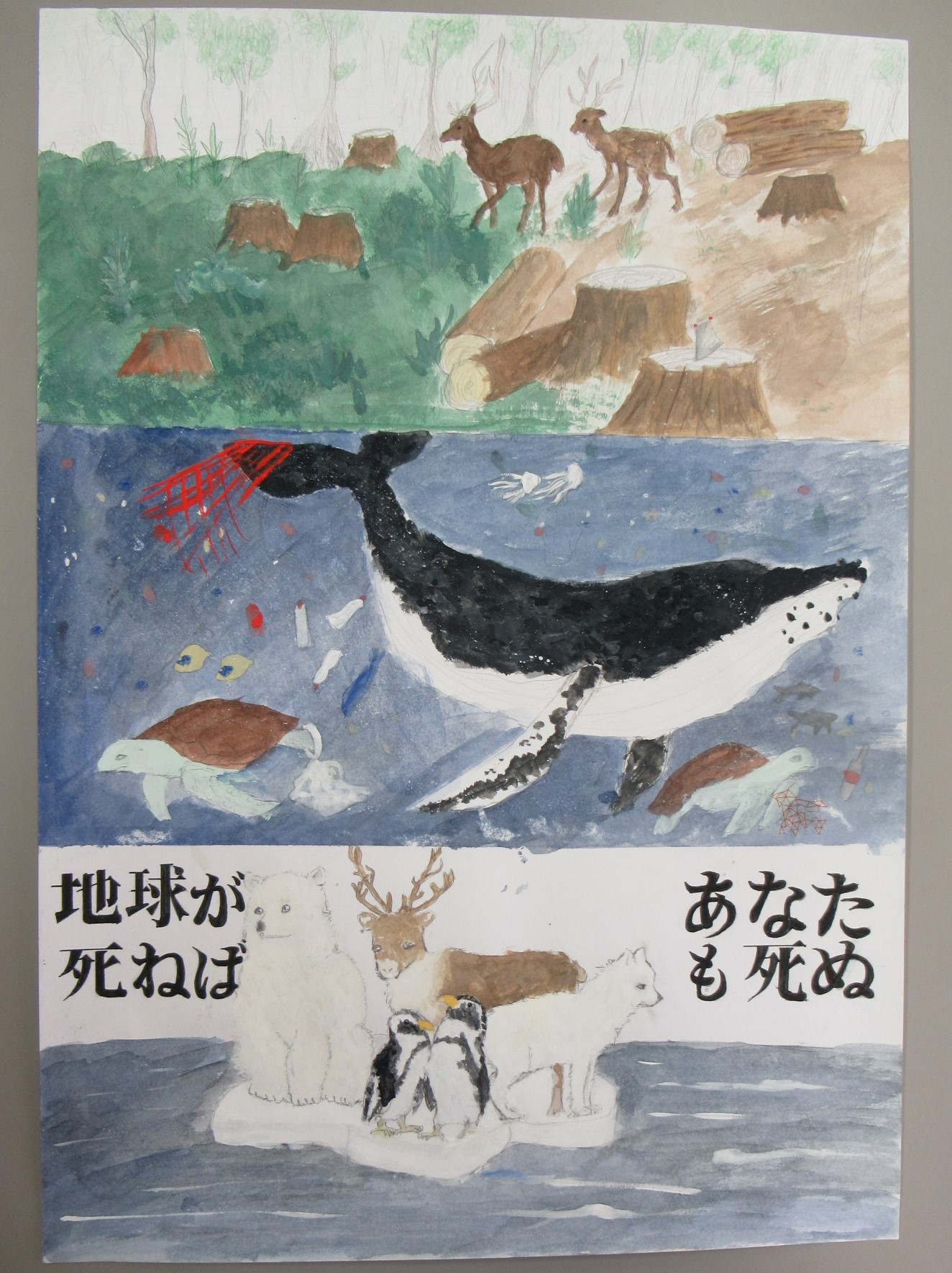 トヨタモビリティ神奈川小田原店賞(小学生)