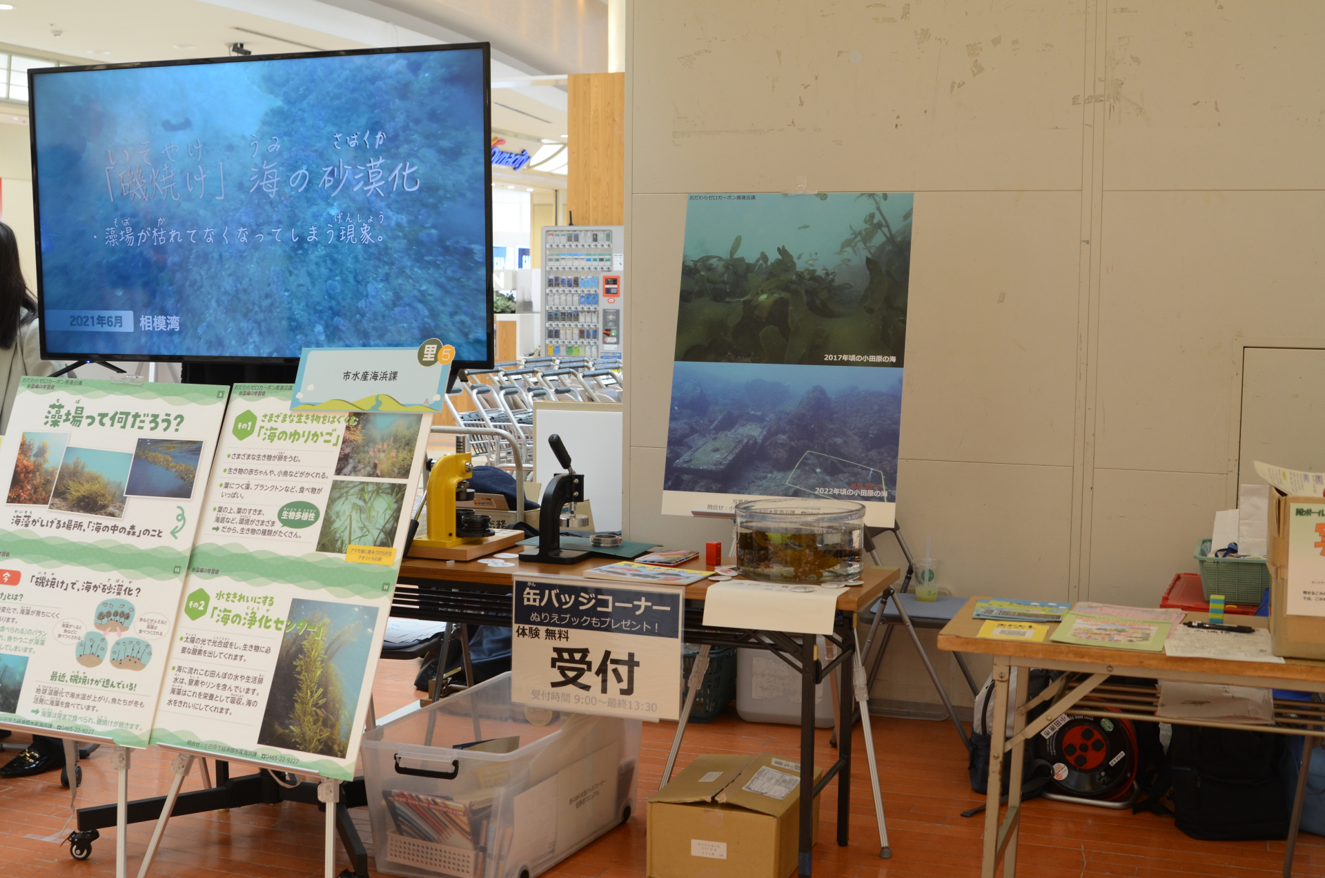 小田原市水産海浜課 写真①