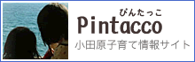 小田原子育て情報サイト「Pintacco（ぴんたっこ」