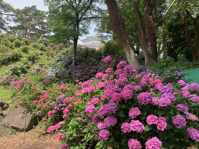会場の様子