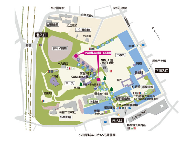 あじさい花菖蒲まつりの開催地は、小田原城址公園内常盤木門東側の小田原城本丸東堀です。城址公園内地図イメージ