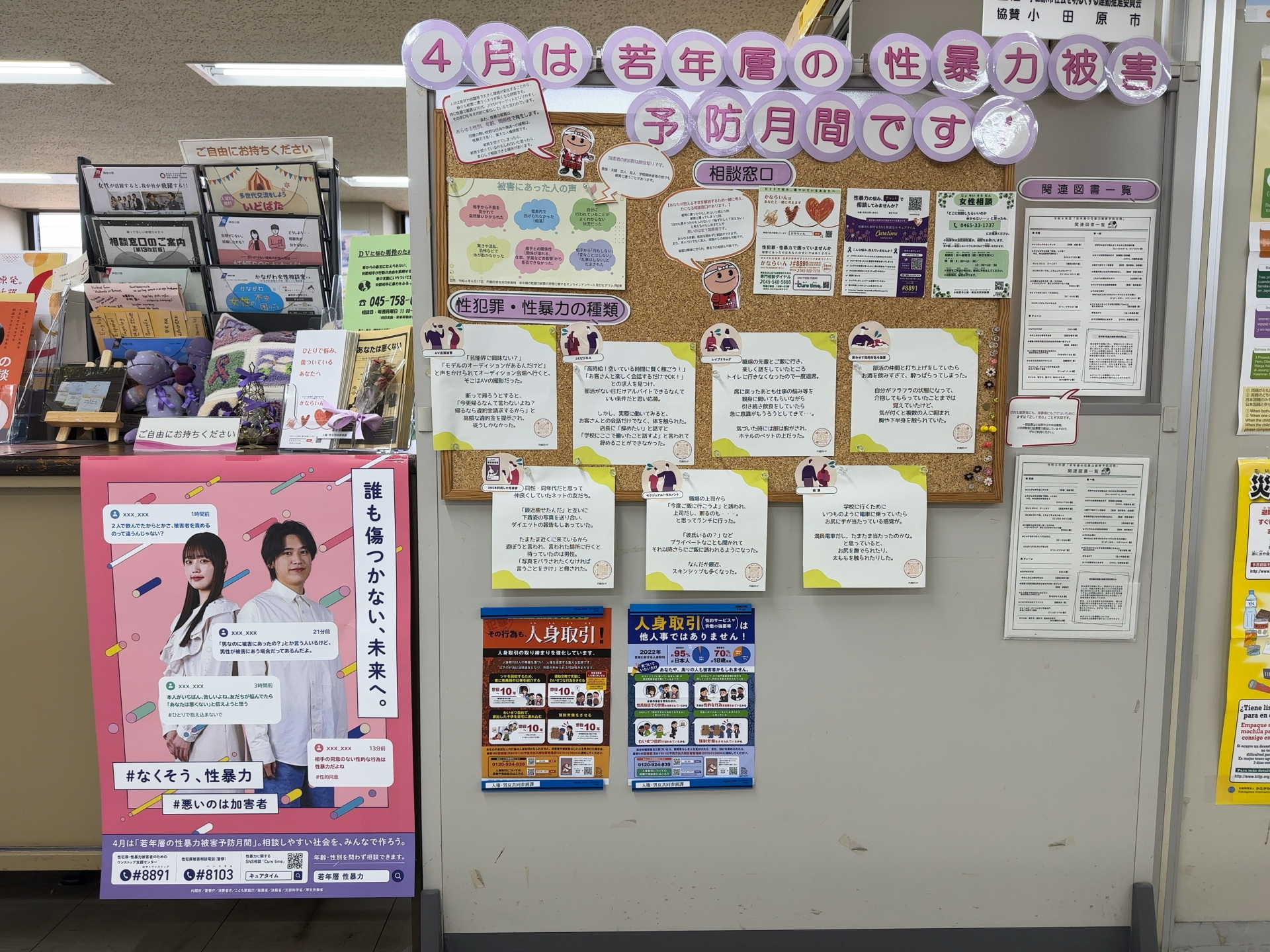 展示の様子