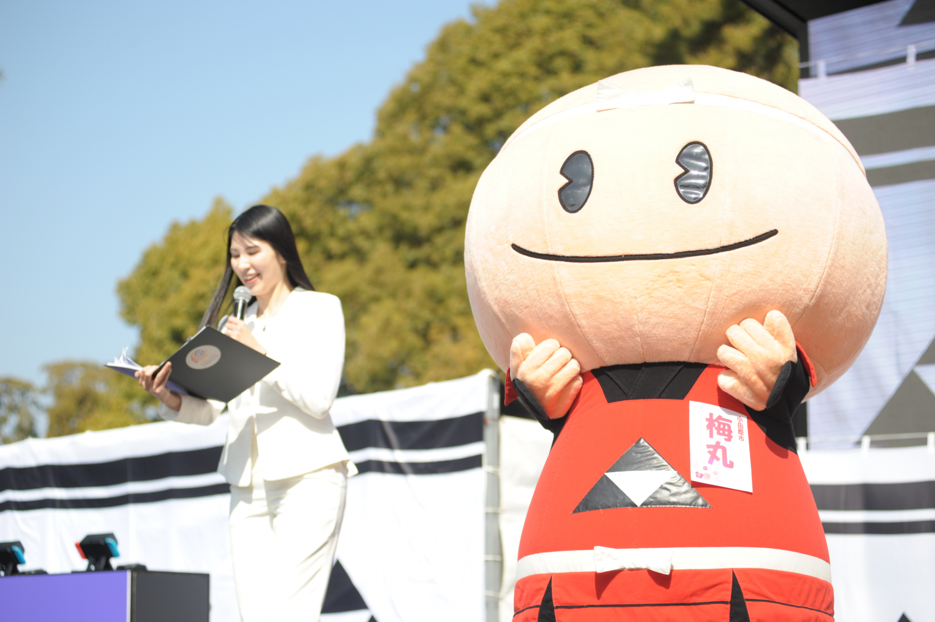 みんなで合戦の様子の画像です。