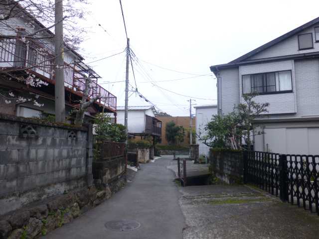 小田原用水沿い