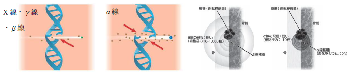 アルファ線(α線)