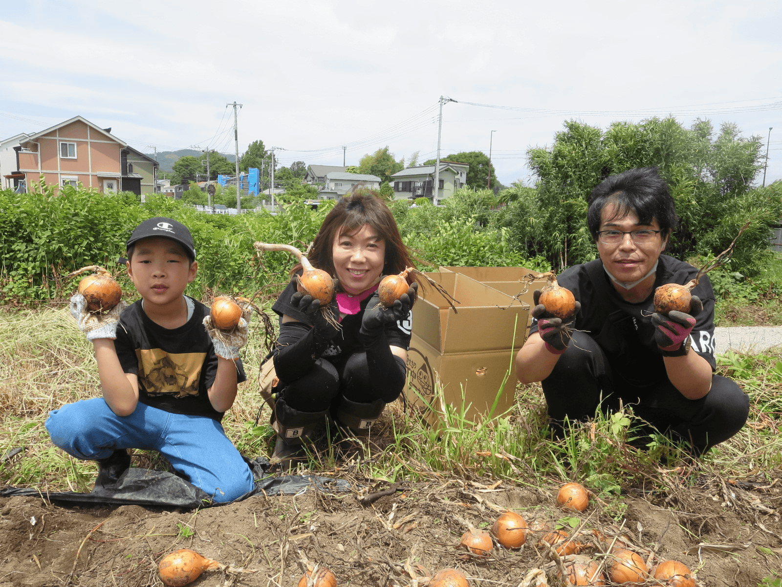 「下中たまねぎ」収穫体験②（八王子市民モニター）