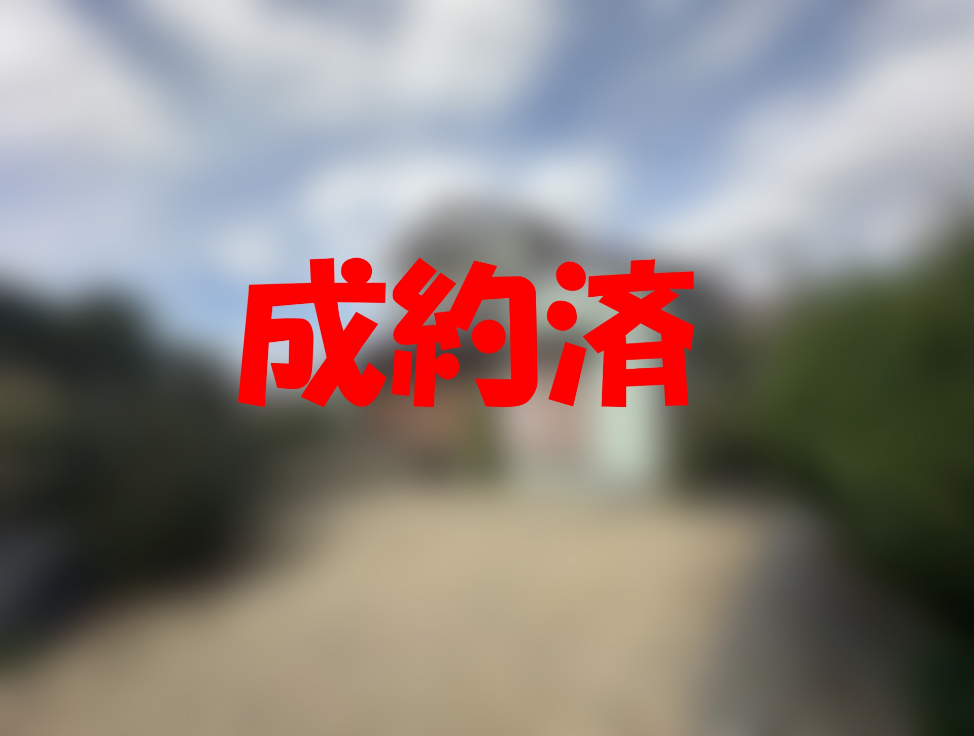 成約済