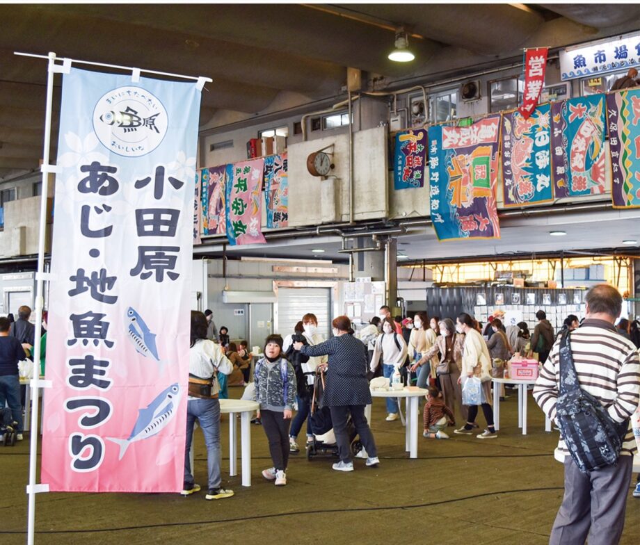 小田原地魚の鮮魚販売(有料)