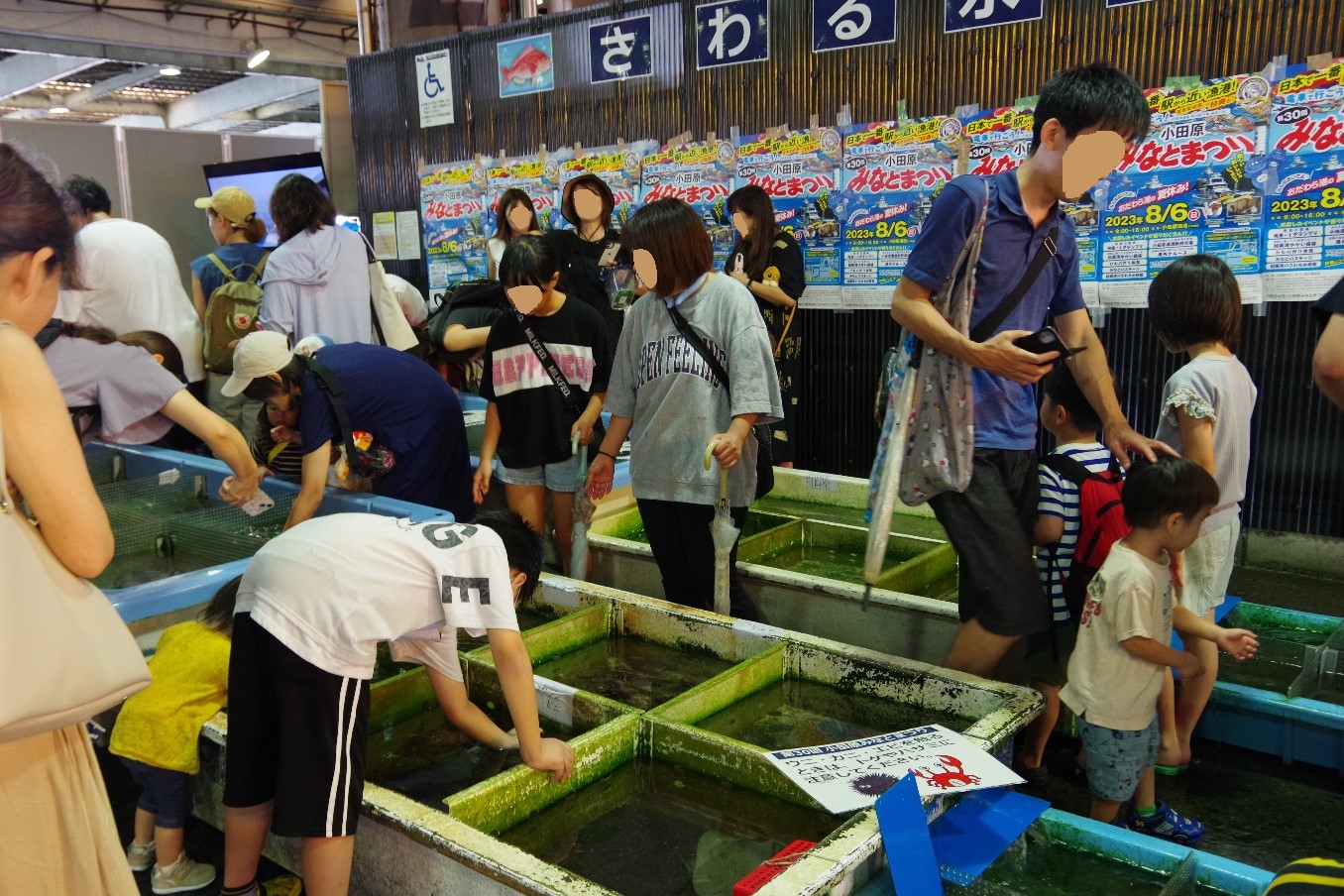 さわる水族館