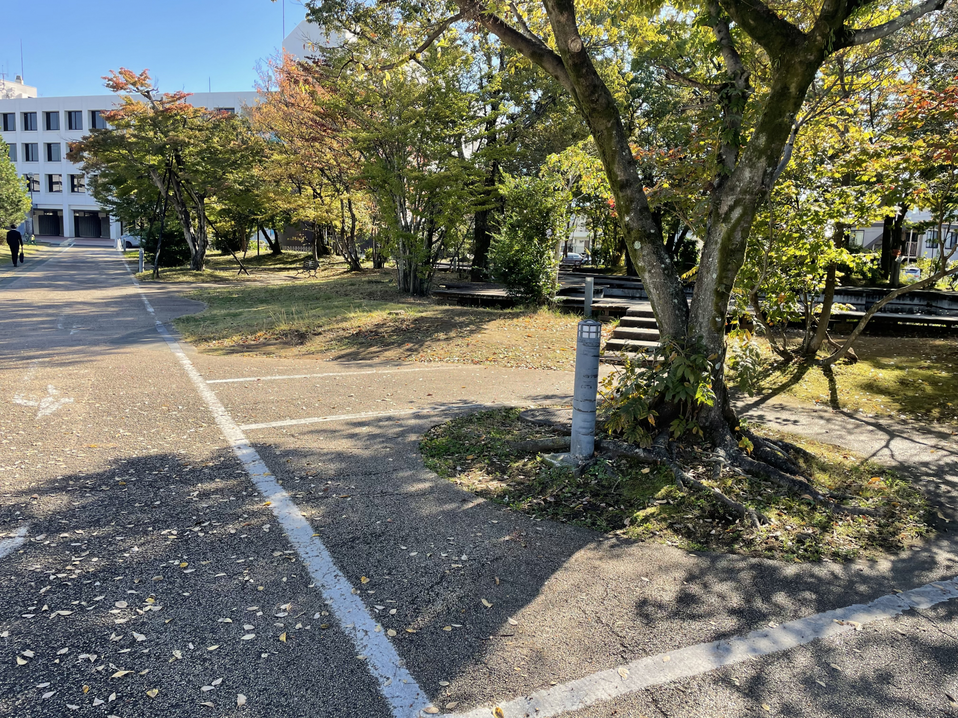 A区画4
