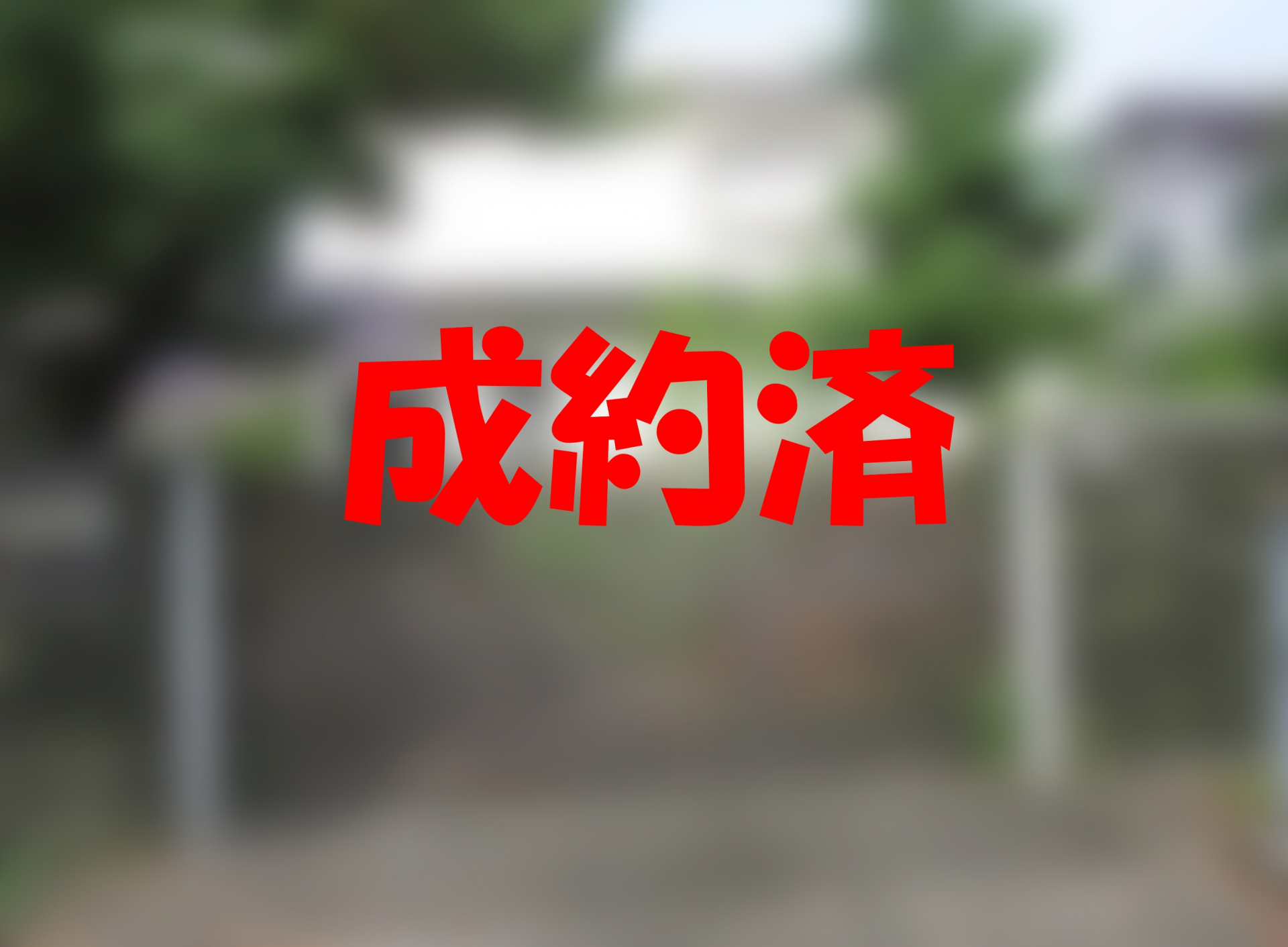 成約済