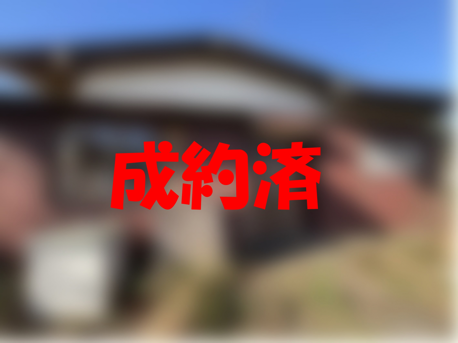 成約済