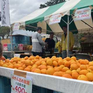 会場の様子