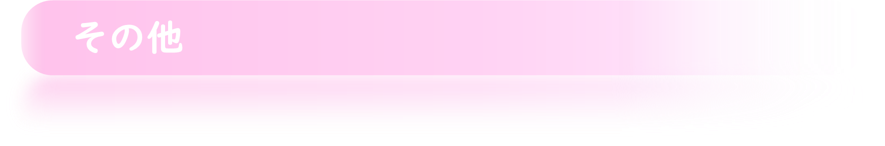 その他