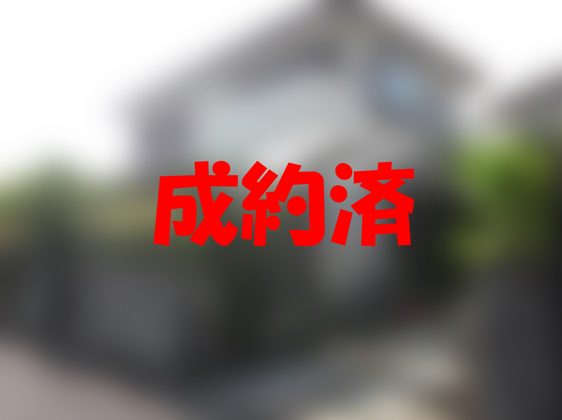 成約済