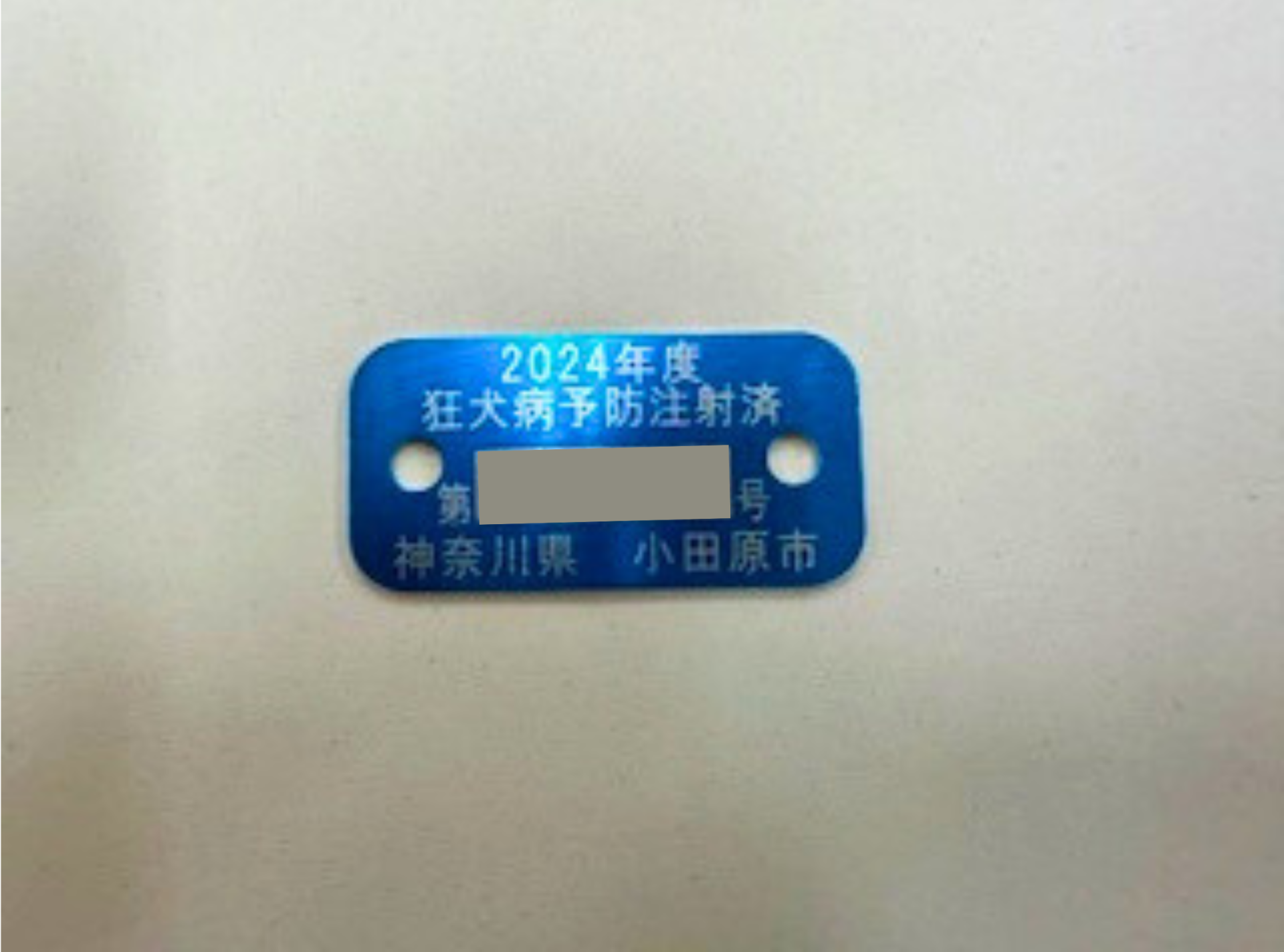 旧注射済票
