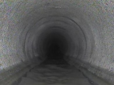管路内状況
