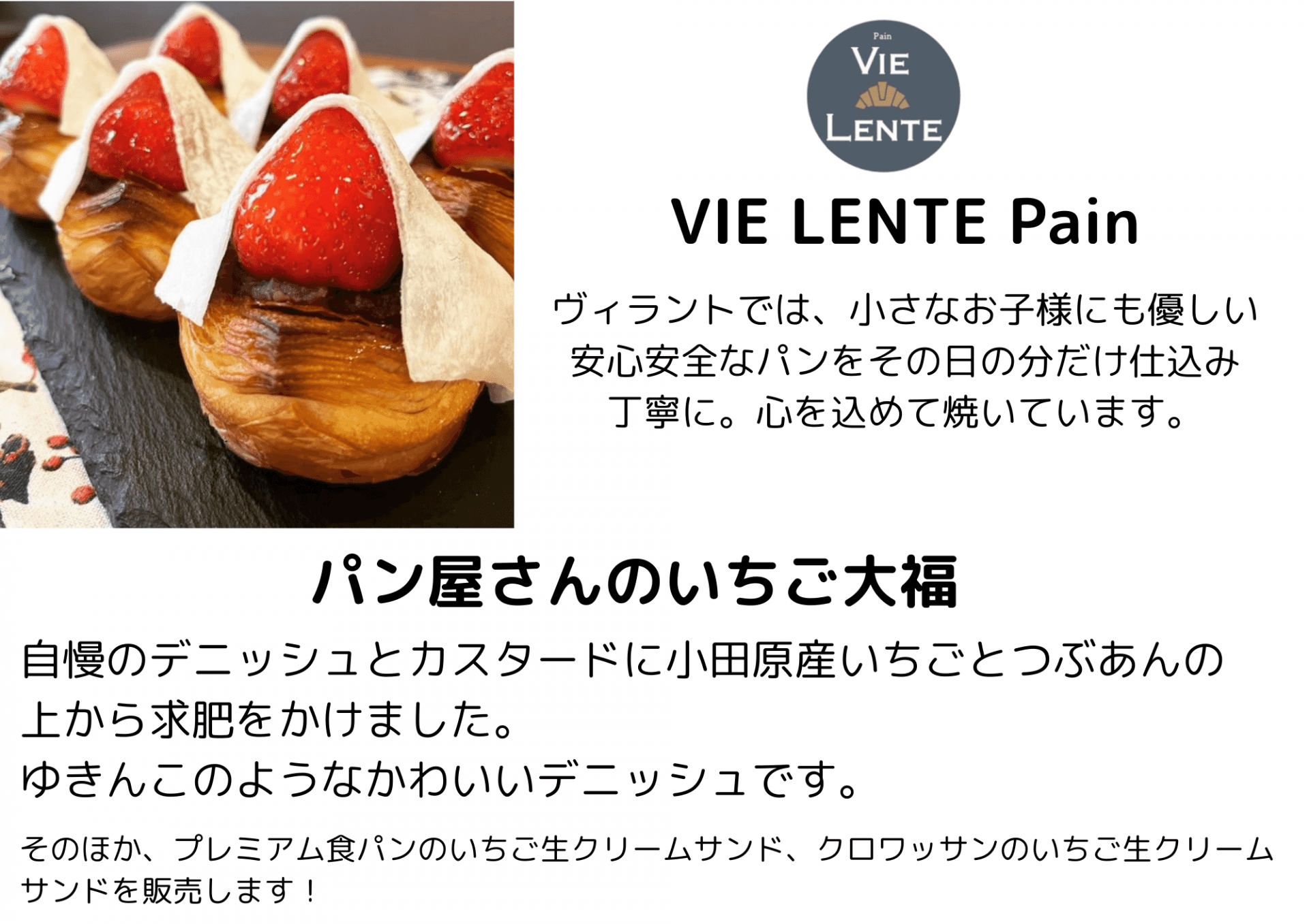 出店者情報（VIE LENTE)