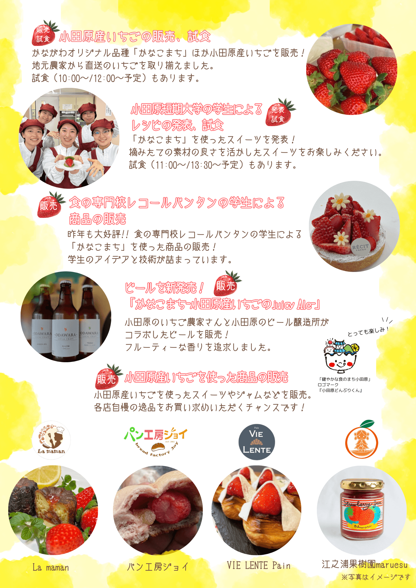 小田原・旬のマルシェ～いちご編～チラシ裏