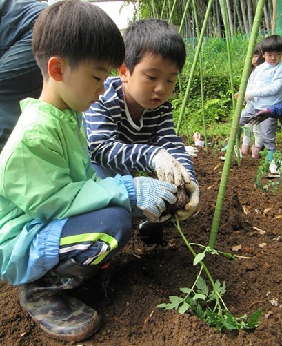 片浦小学校　校外活動のようす