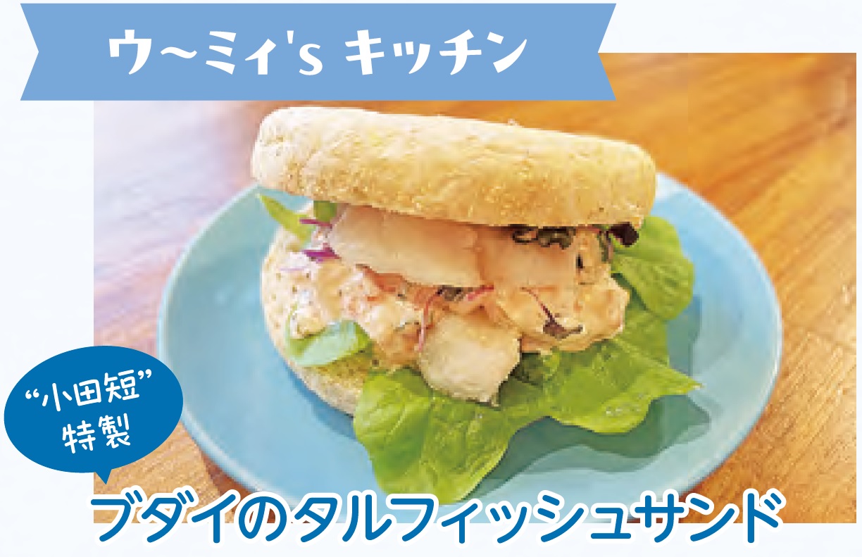 ブダイのタルフィッシュサンド