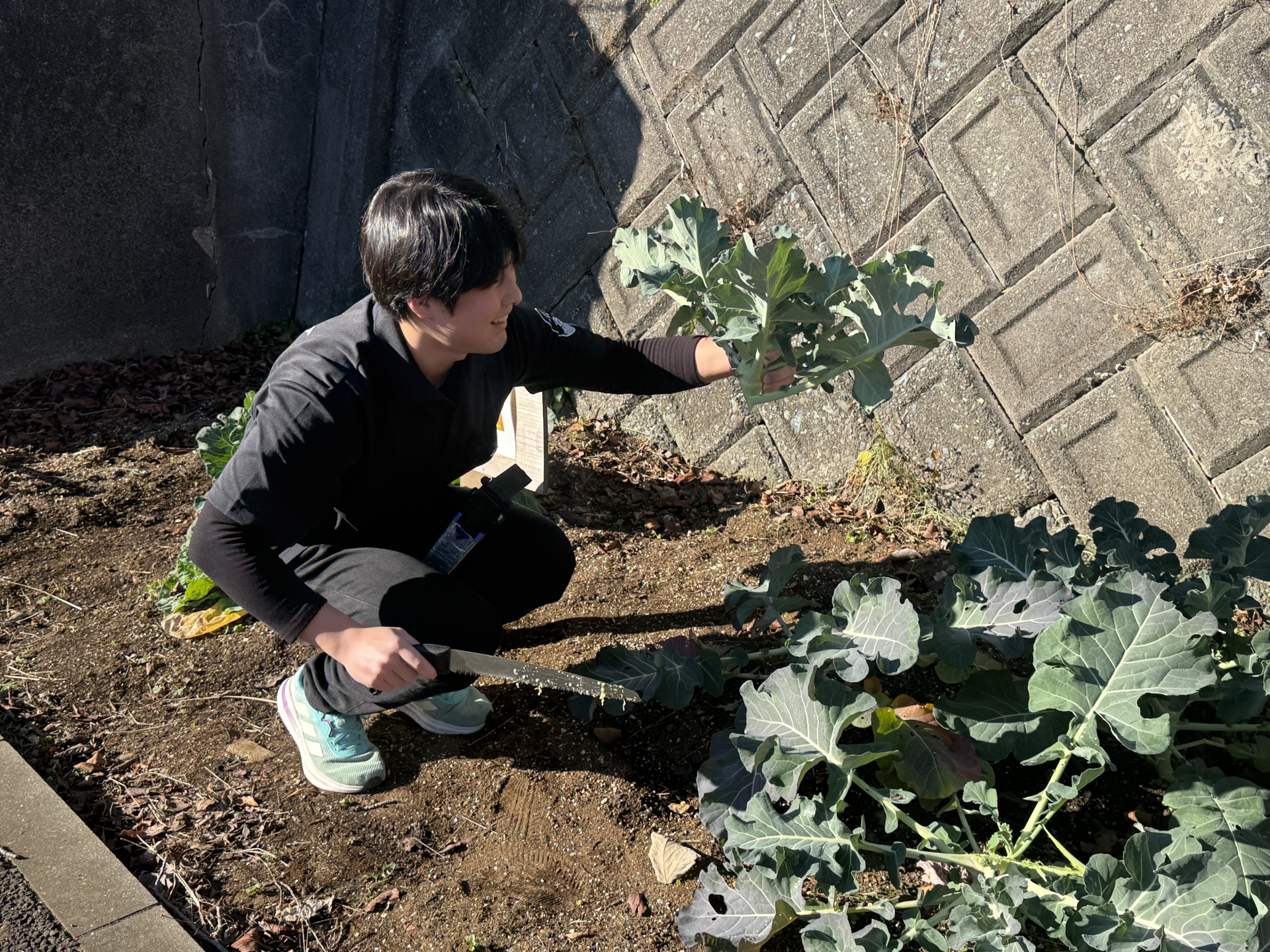 事業当日の様子