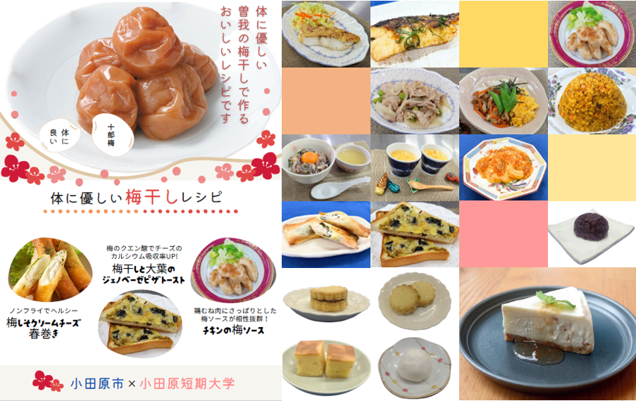体に優しい梅干しレシピの冊子データ