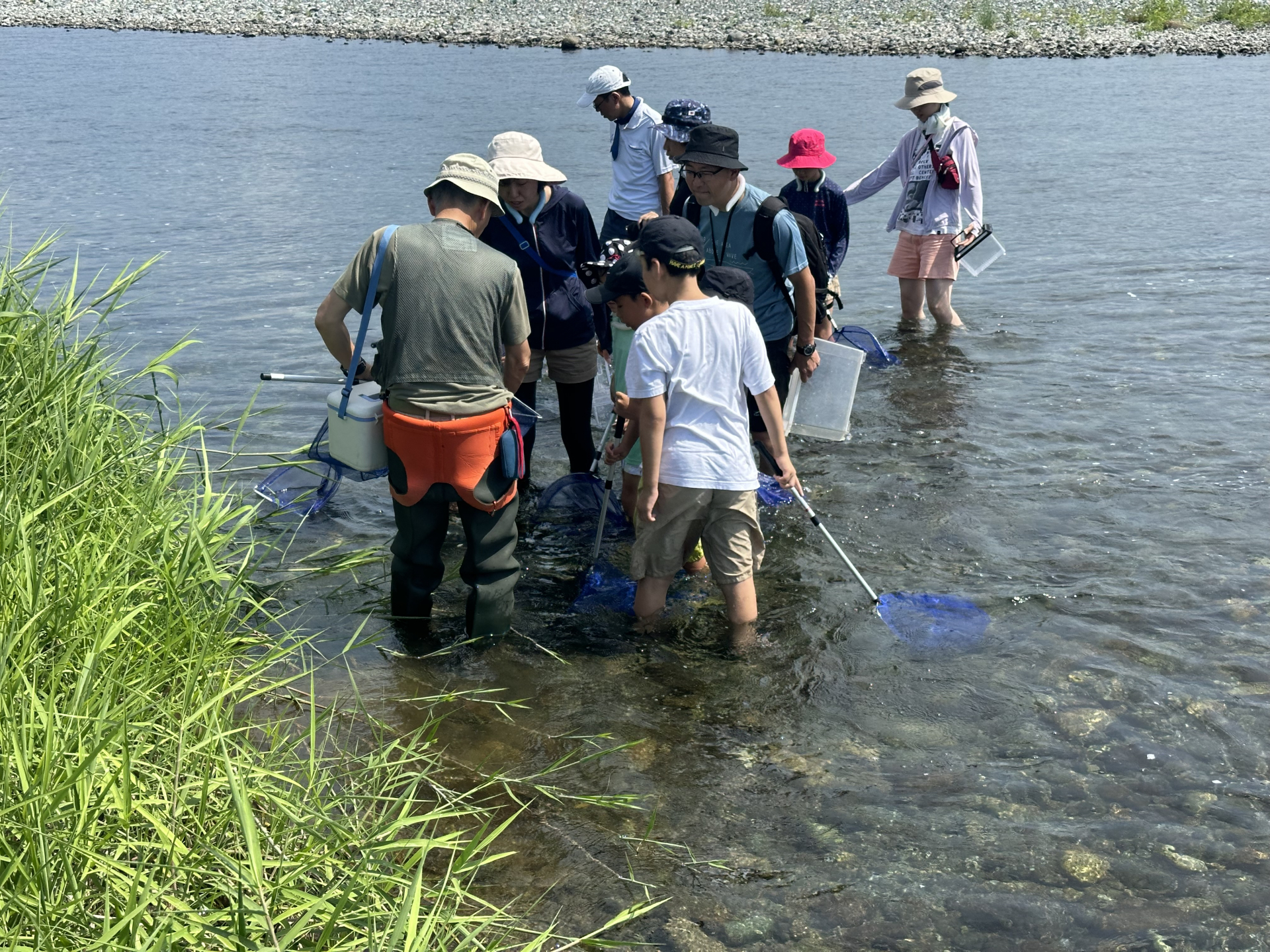 水いきもの観察会イメージ画像