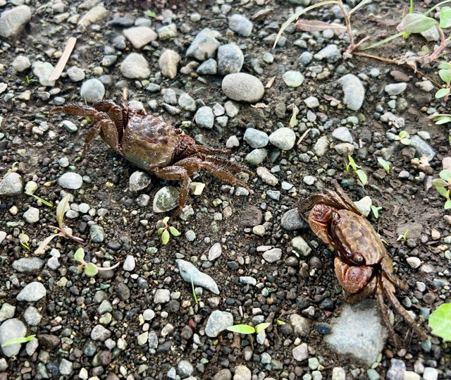 和留沢の画像