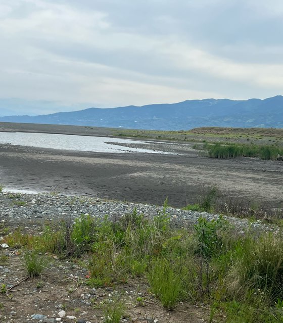 和留沢の画像