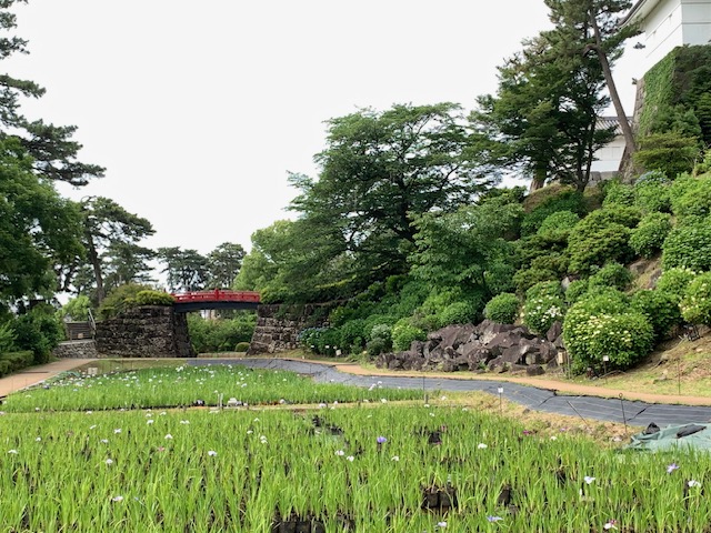 会場の様子(令和7年5月29日)