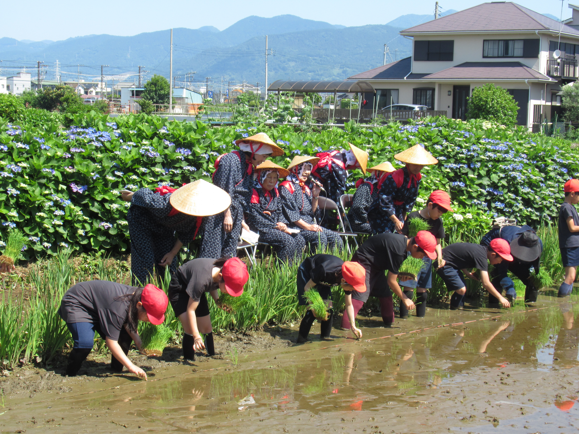 田植え風景