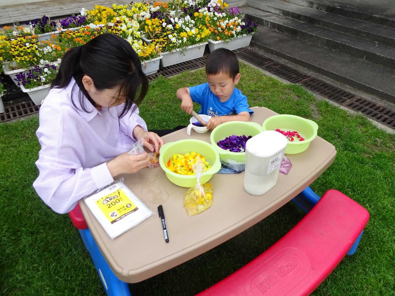 お母さんと男の子がお花で色水をつくっているところ