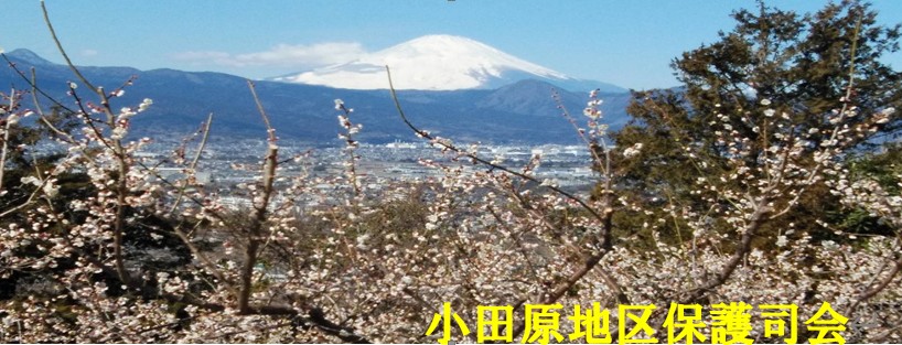 画像タイトル「小田原地区保護司会」
