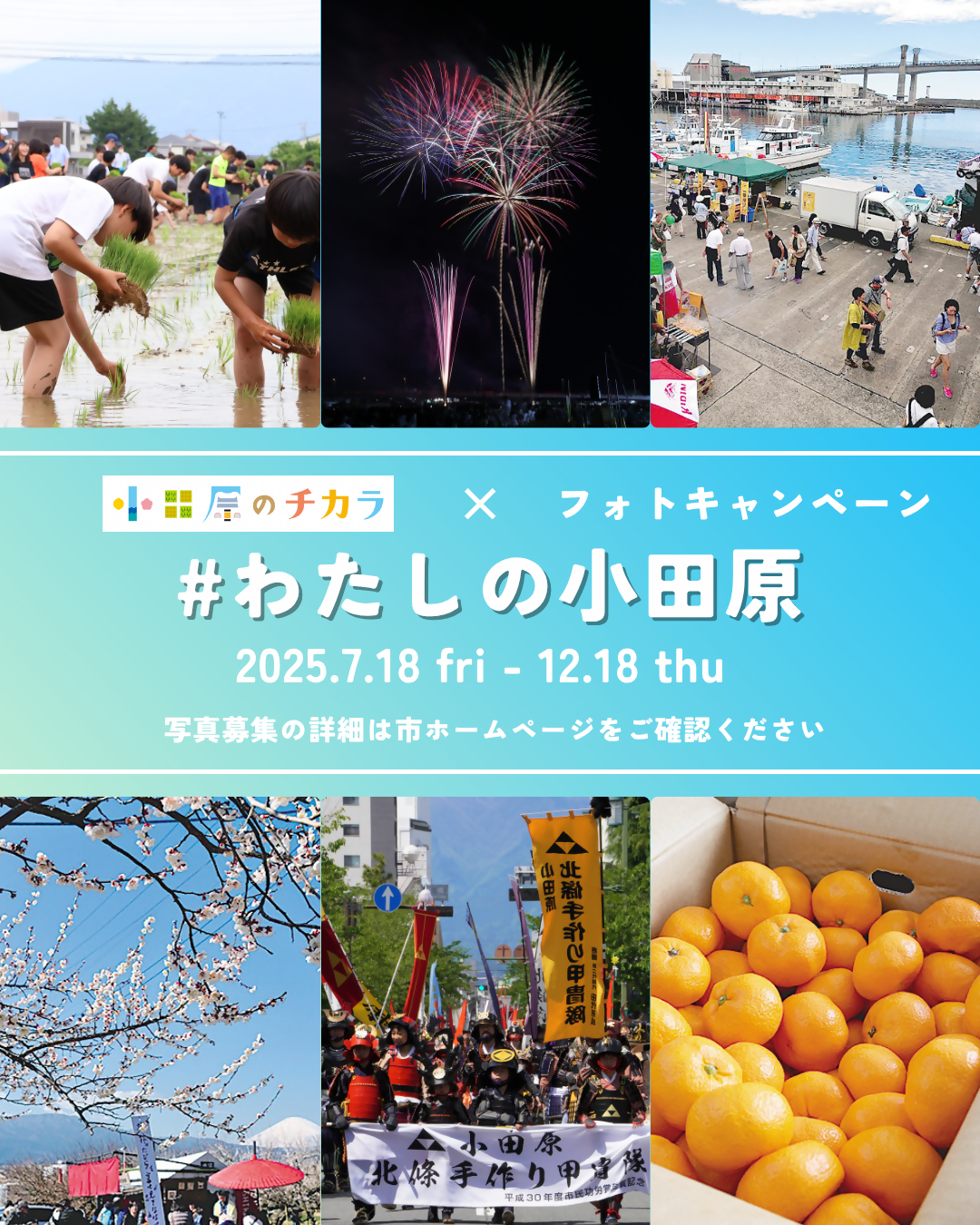 写真募集イメージ画像
