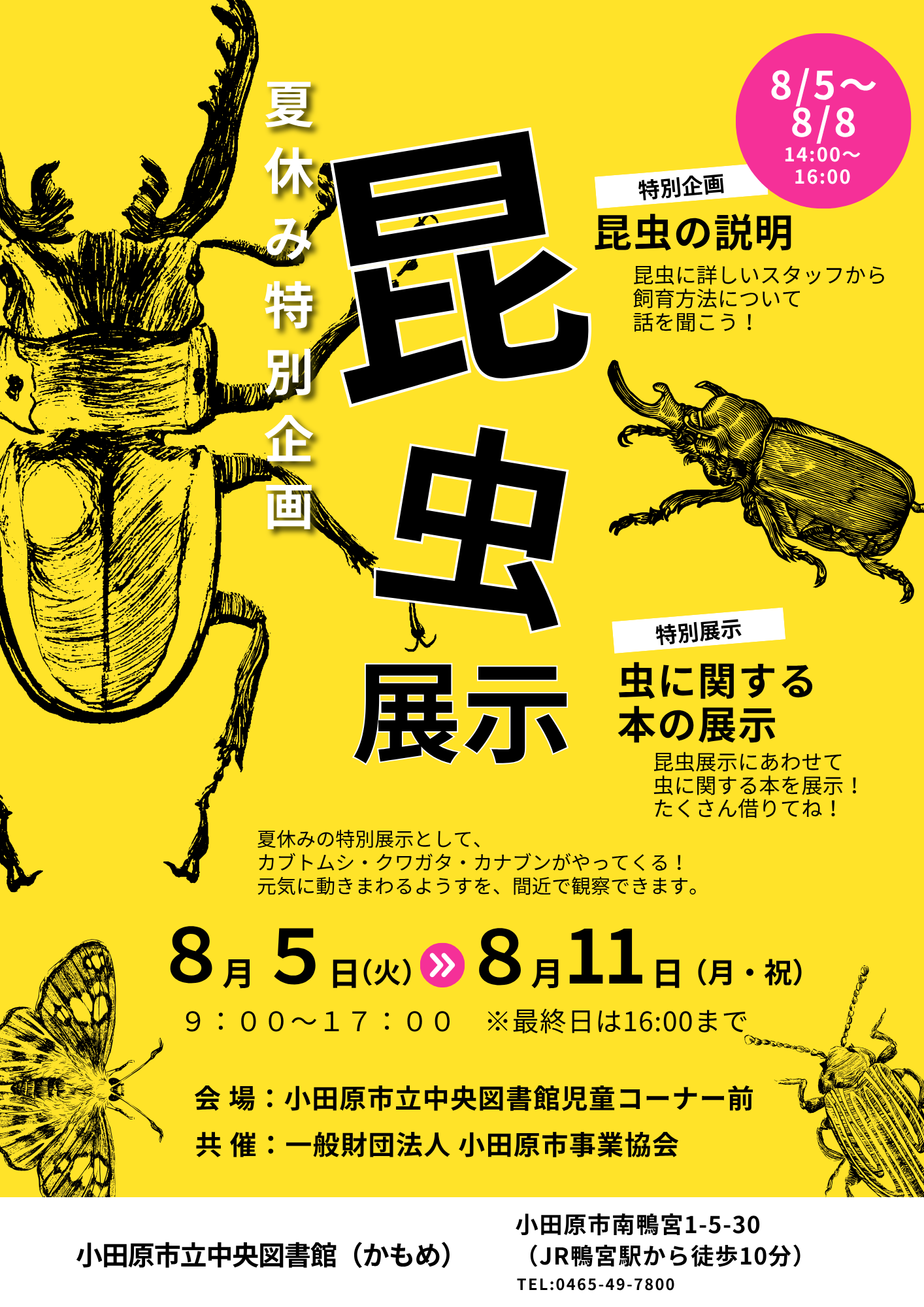 チラシ画像