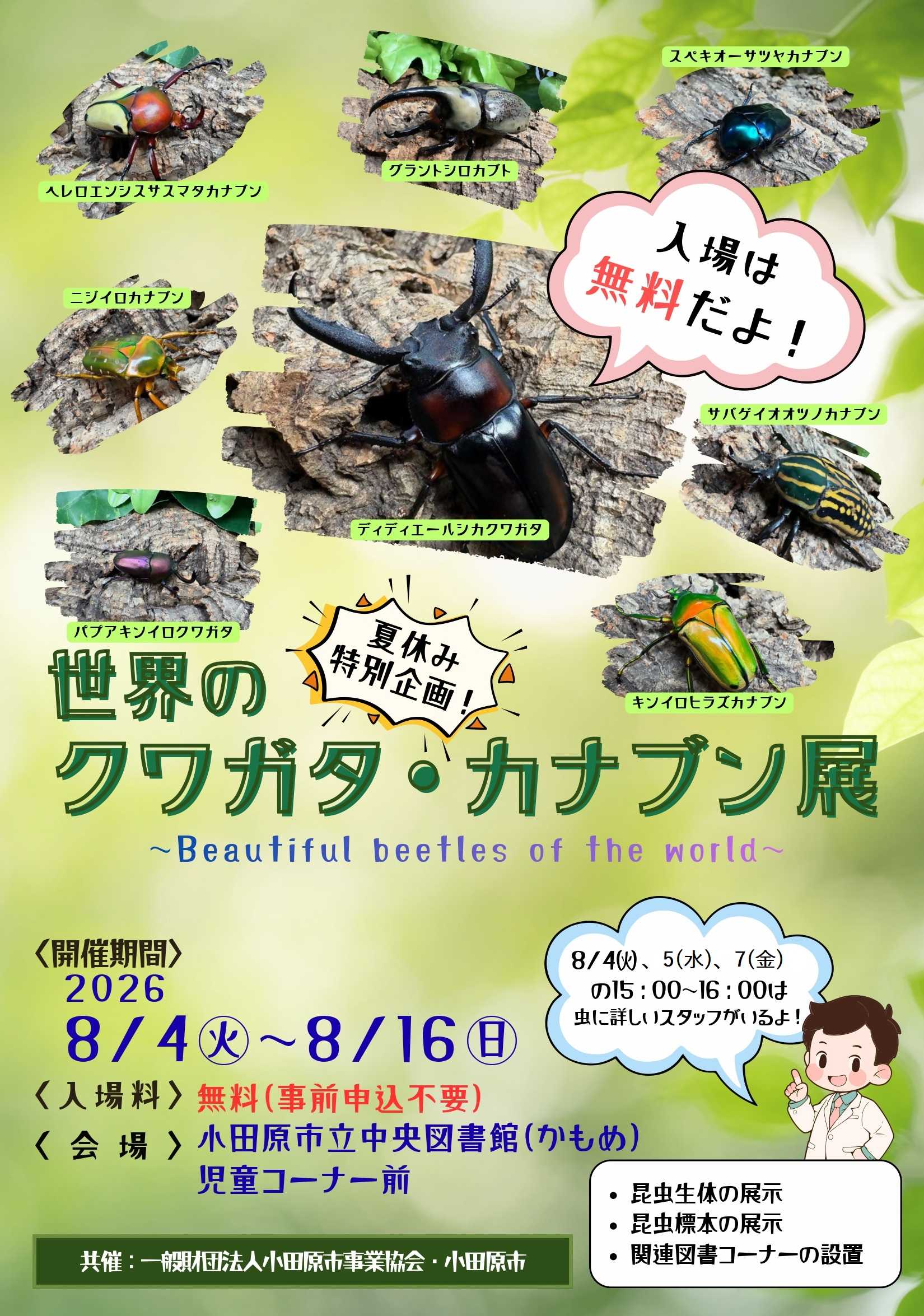 ポスター画像（クワガタ・カナブン展）