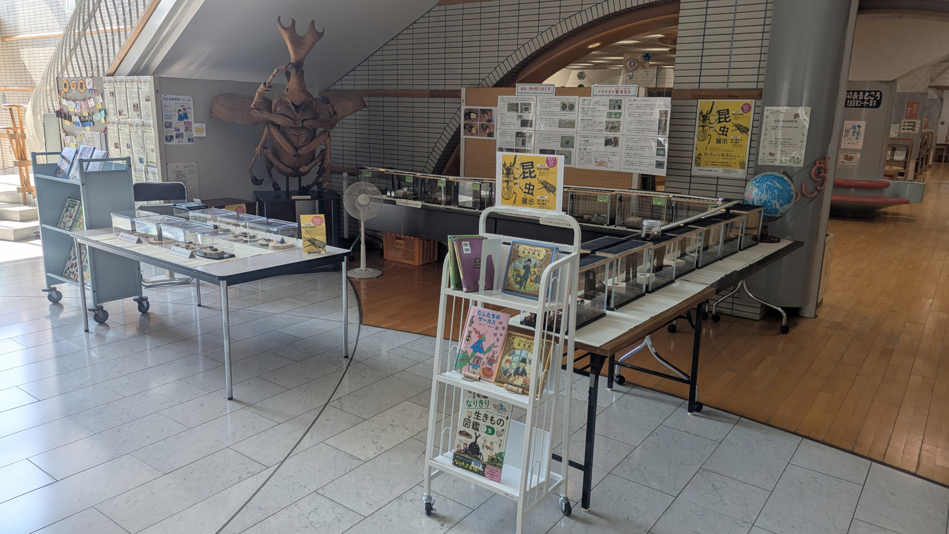 昆虫展示の様子
