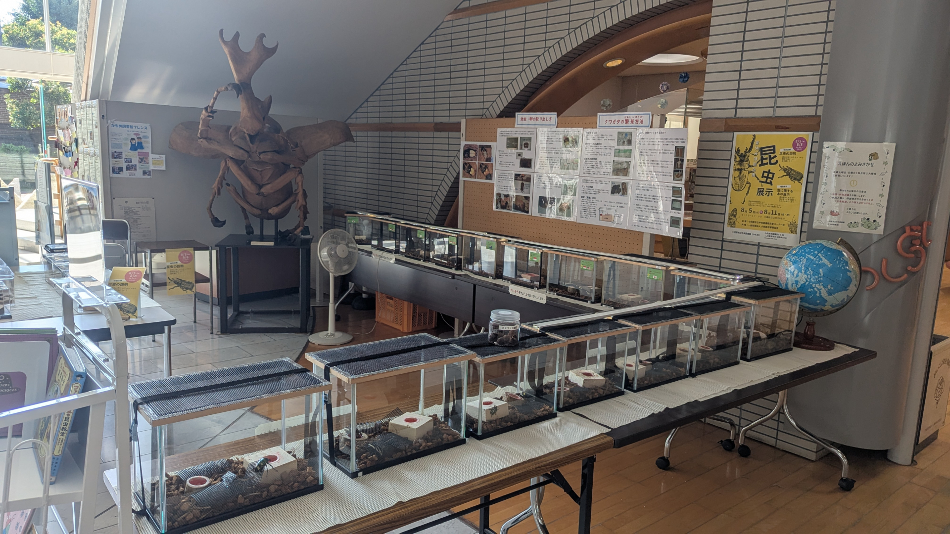 昆虫展示の様子