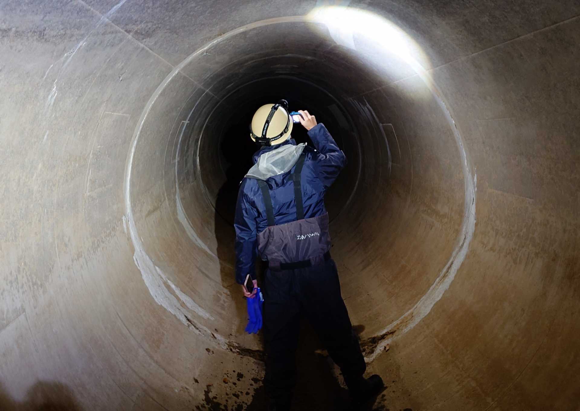 点検状況の写真