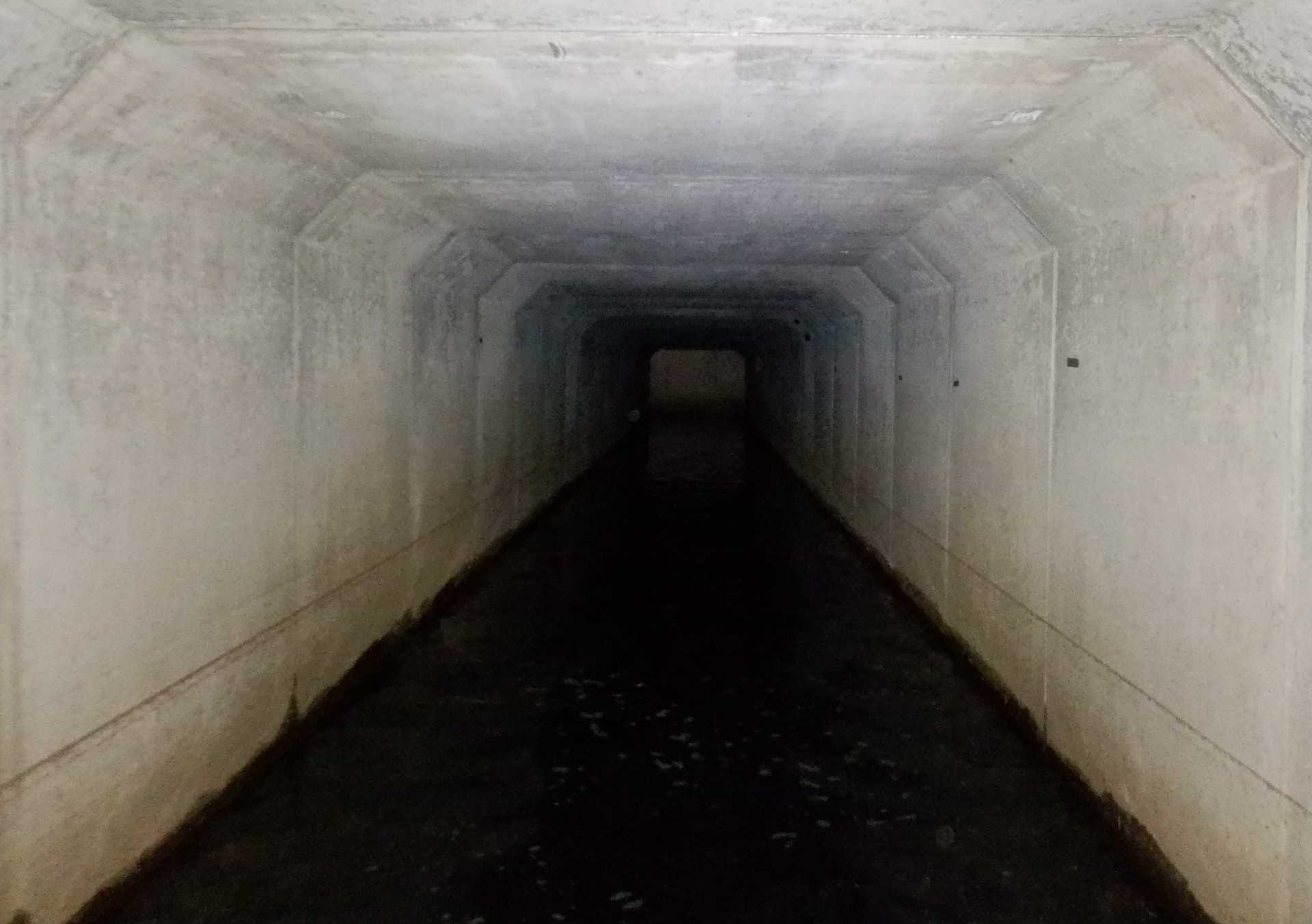 管路内状況の写真