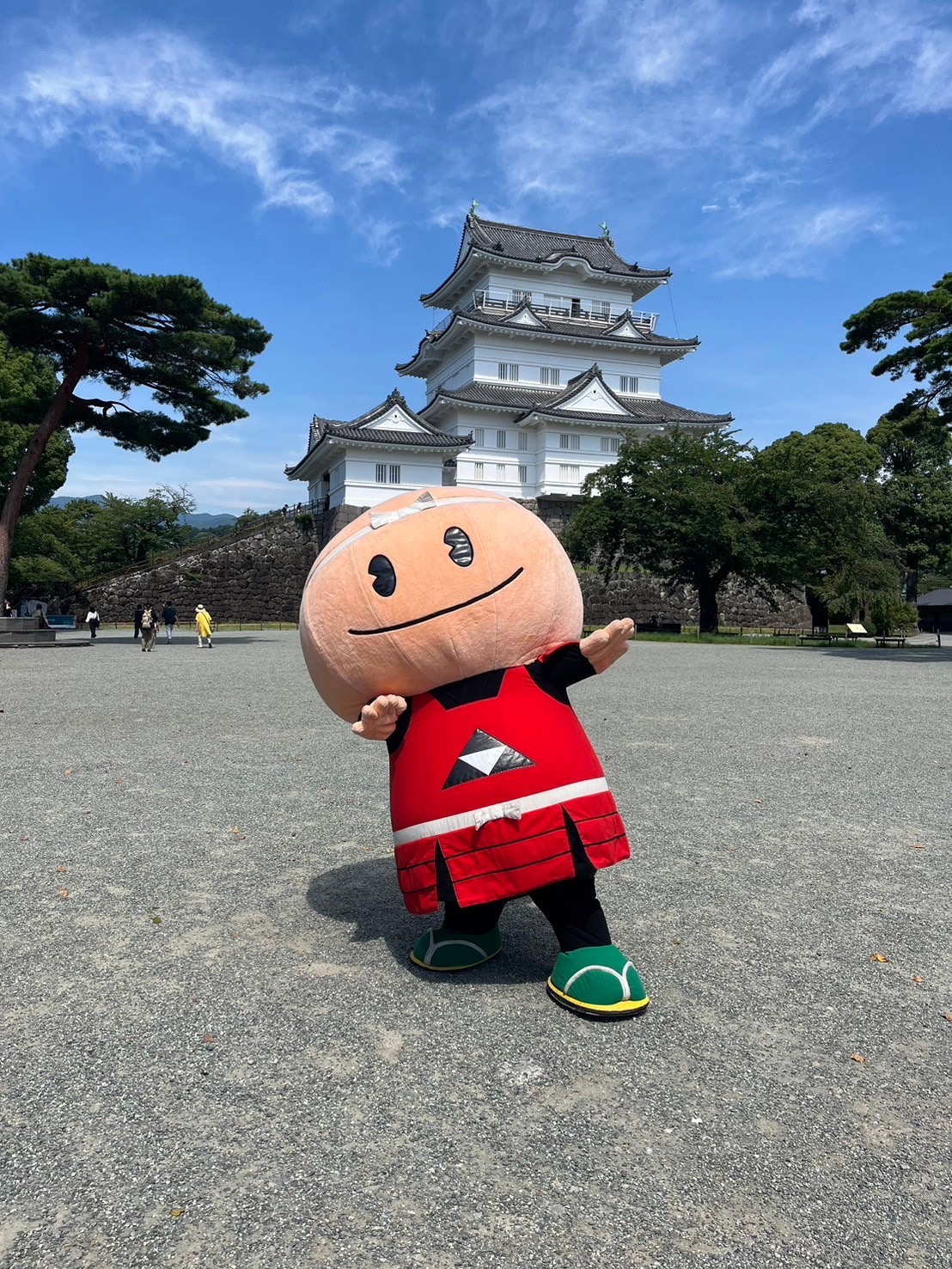 お題の写真